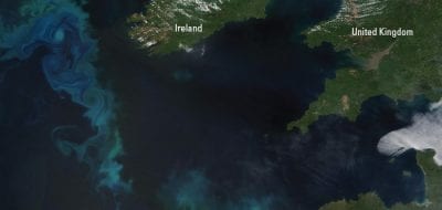 What Causes the Atlantic to Bloom?