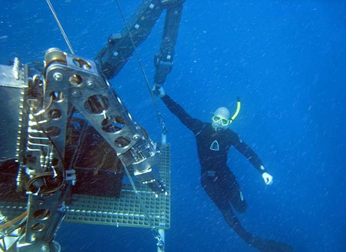 Good Dive!