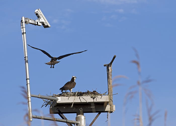 First in Flight