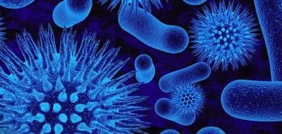 Drug Discovery in the Ocean