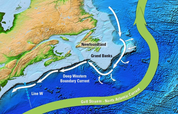 Ocean Current Detour