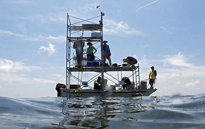 Science Scaffolding