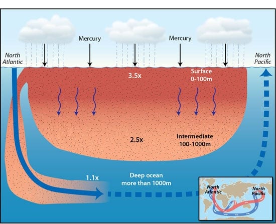 MercuryDistribution_350_351278.jpg