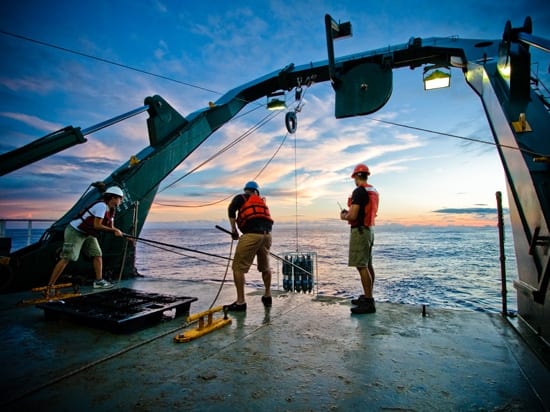 CTD_350_354913.jpg