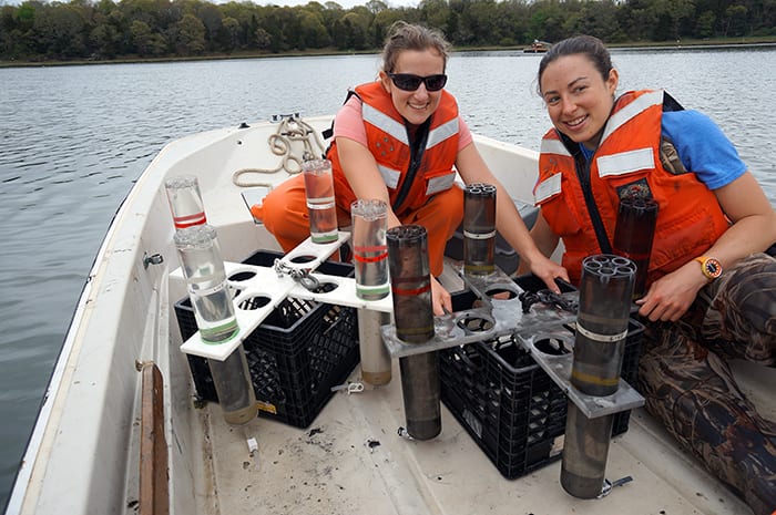Catching Fallen Plankton