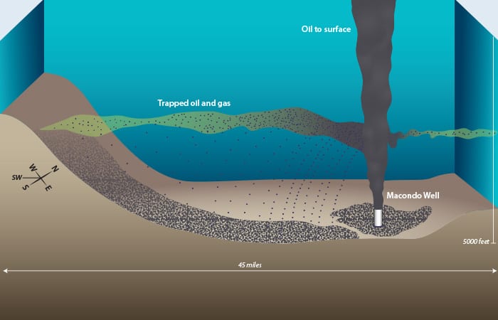Where Did Deepwater Horizon Oil Go?