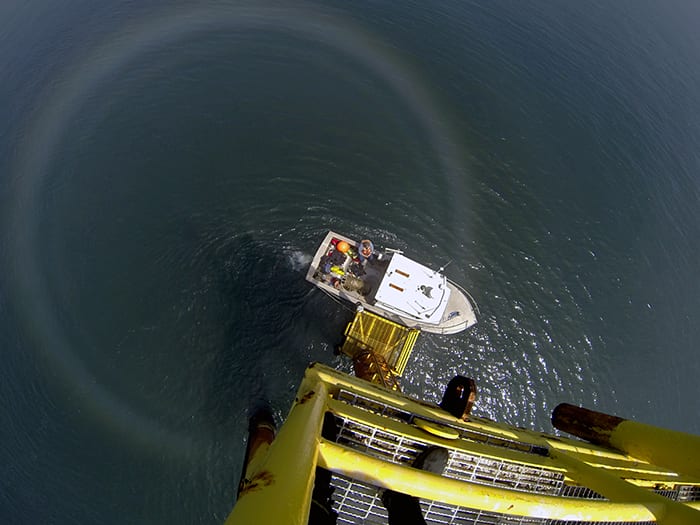 Halo Below