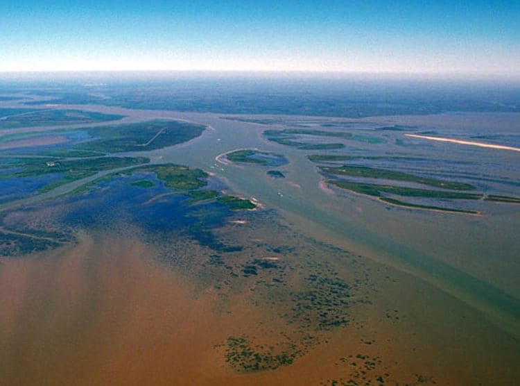 NASA_rivers_delta_750_367634.jpg