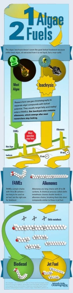 15G0078-Biofuel-Illustration-350_372475.jpg