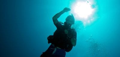 Hidden Battles on the Reefs