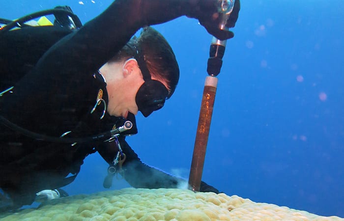 tom_drilling_coral_366373.jpg