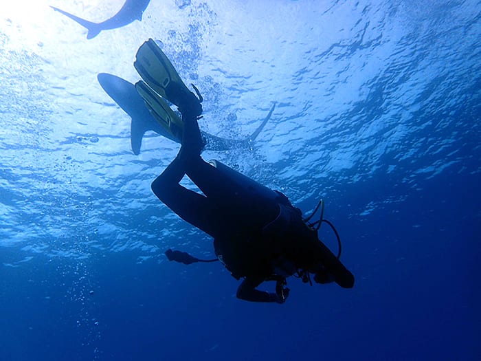 Sharing the Ocean