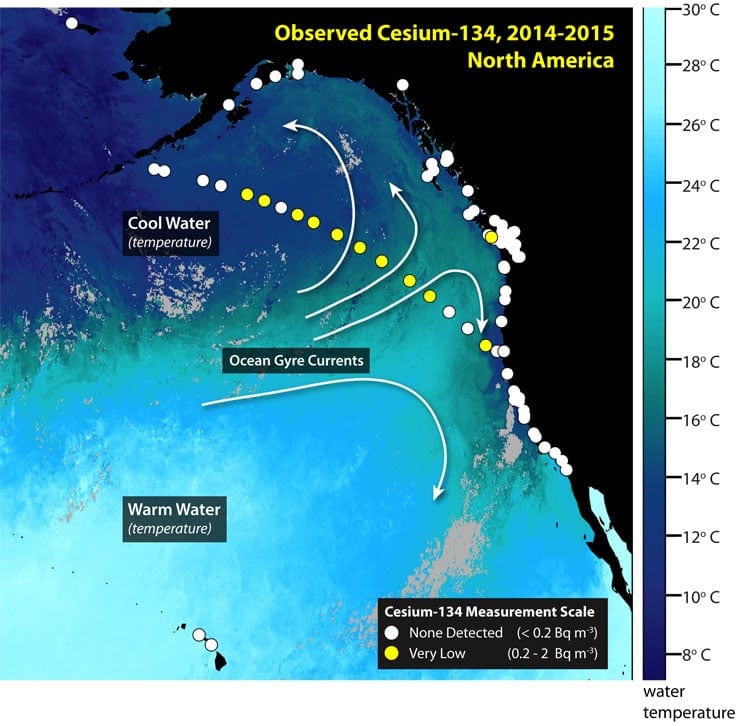 cesium_350_379555.jpg