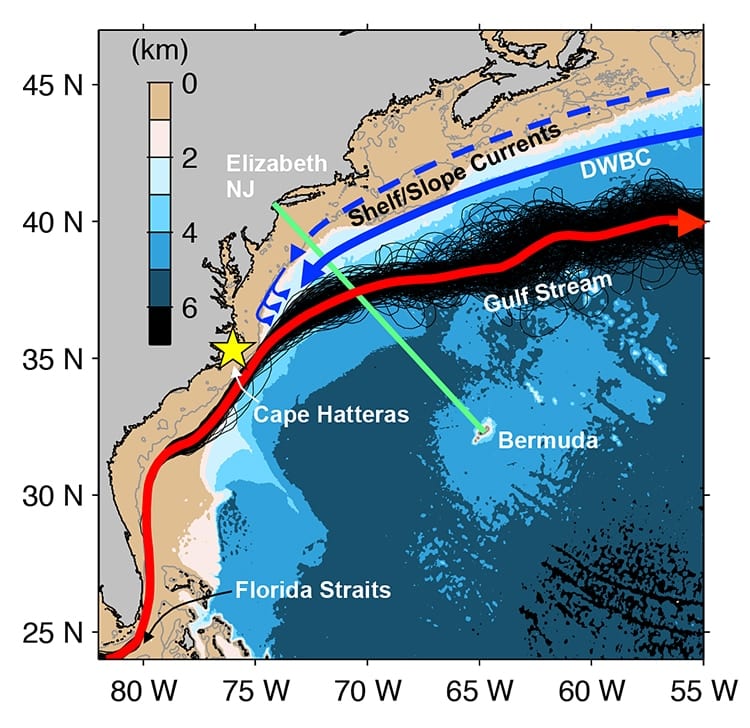 Figure_1_circulation-350_387893.jpg