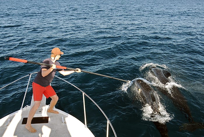 Tag and Release