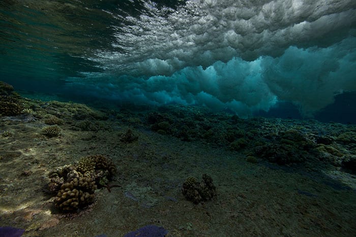 World Oceans Day 2015