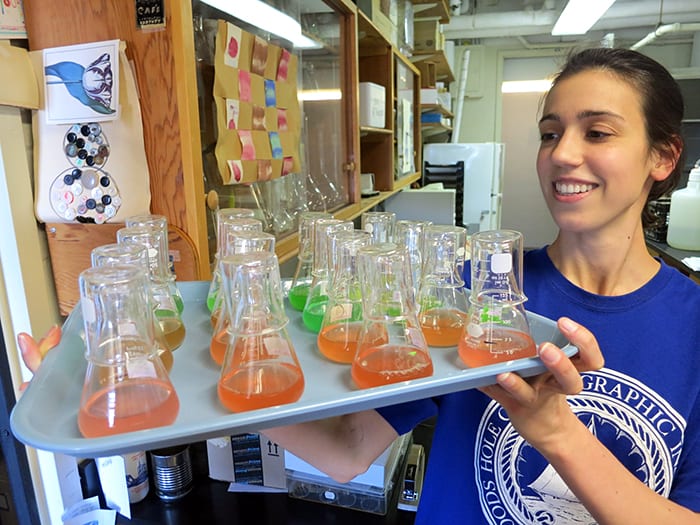Serving Up Synechococcus