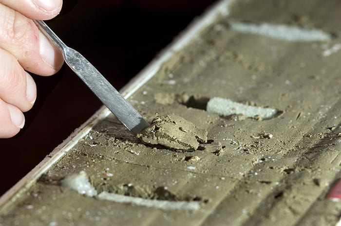 Written in Mud