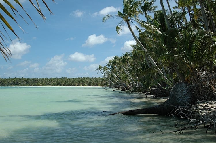 graphics-PIPA_beach_350_396534.jpg