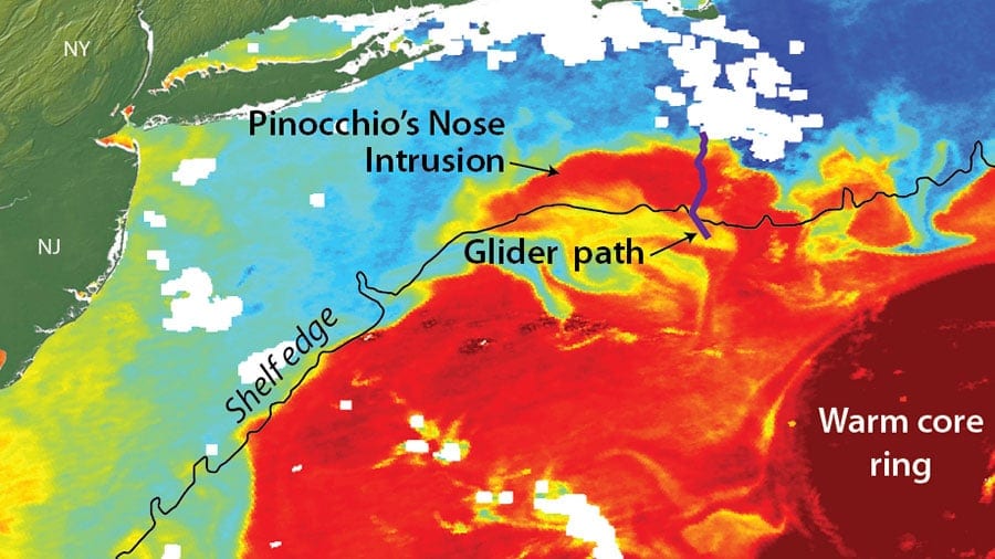 Gulf Stream Ring Water Intrudes onto Continental Shelf Like "Pinocchio's Nose"