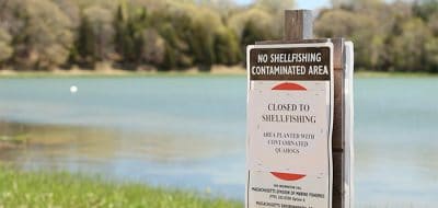 Setting a Watchman for Harmful Algal Blooms