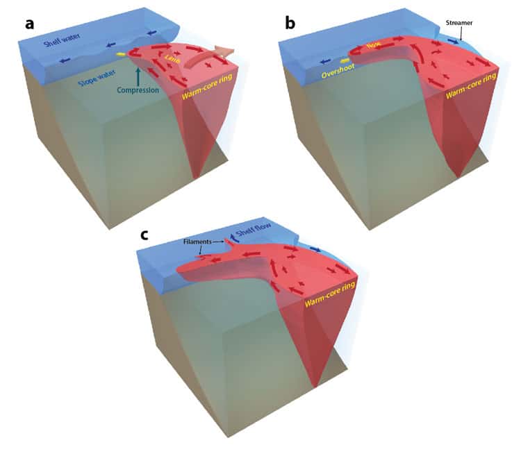 schematic