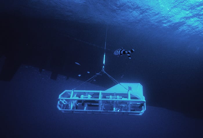 Argo and Titanic