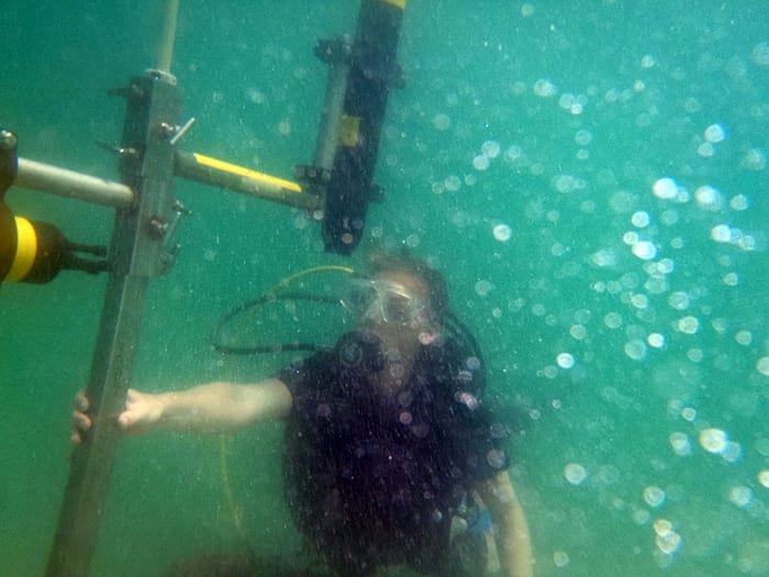 Diving into Her Work