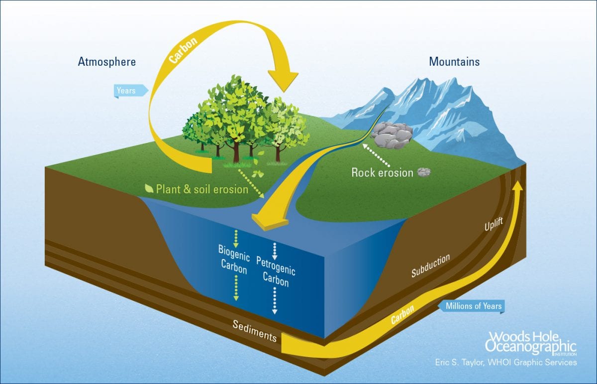 Earth's Riverine Bloodstream