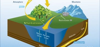 Earth's Riverine Bloodstream