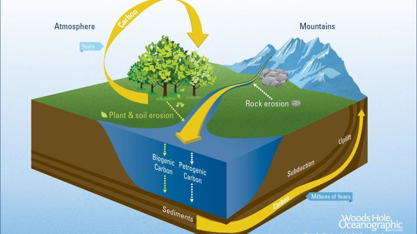 Earth's Riverine Bloodstream