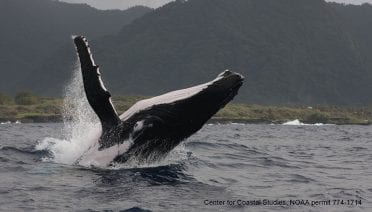 Amy Apprill Featured in Science's Video Series