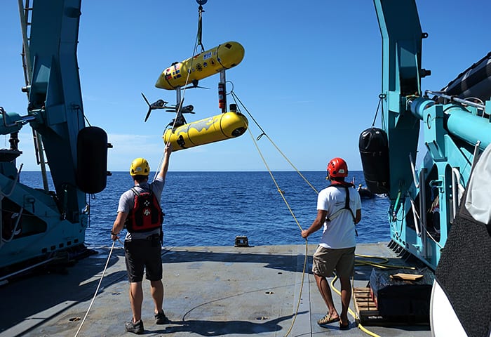 Jaguar on the Seamount