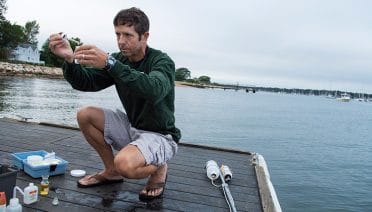 Study Reveals Climate Change Impacts on Buzzards Bay
