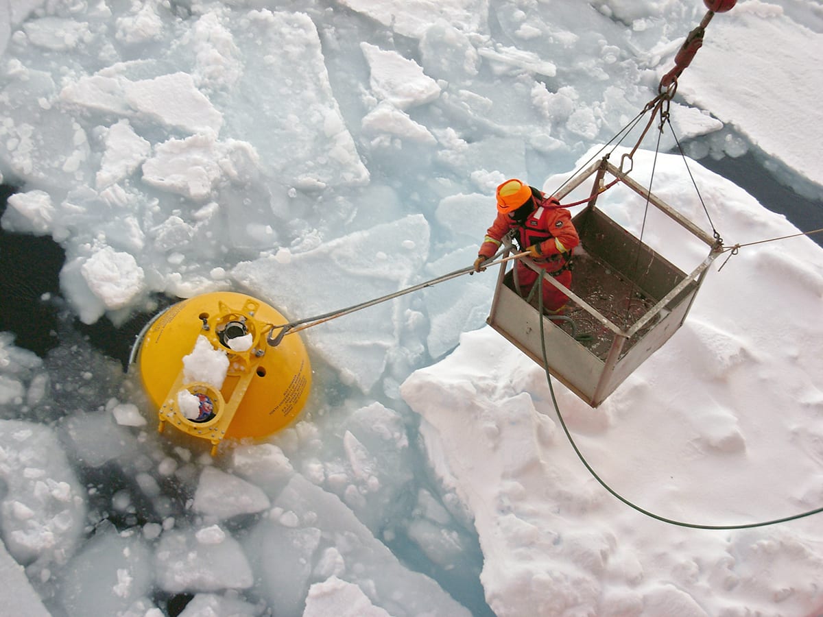 Arctic House Call