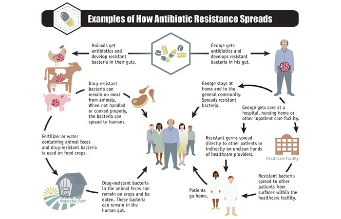 CDC-2013-Report-ar-threats-2013-508-2_418673.jpg