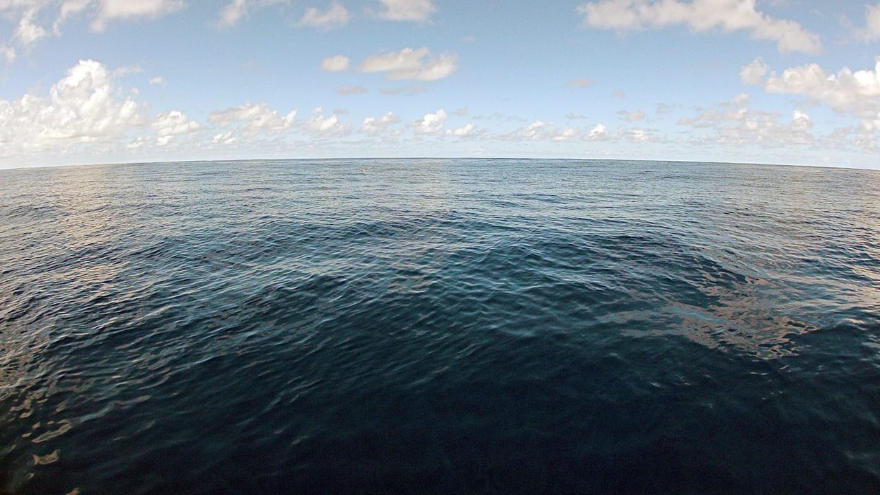 Through the Looking-Glass of the Sea Surface