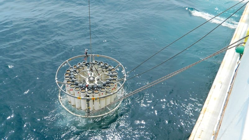 CTD_800.jpg