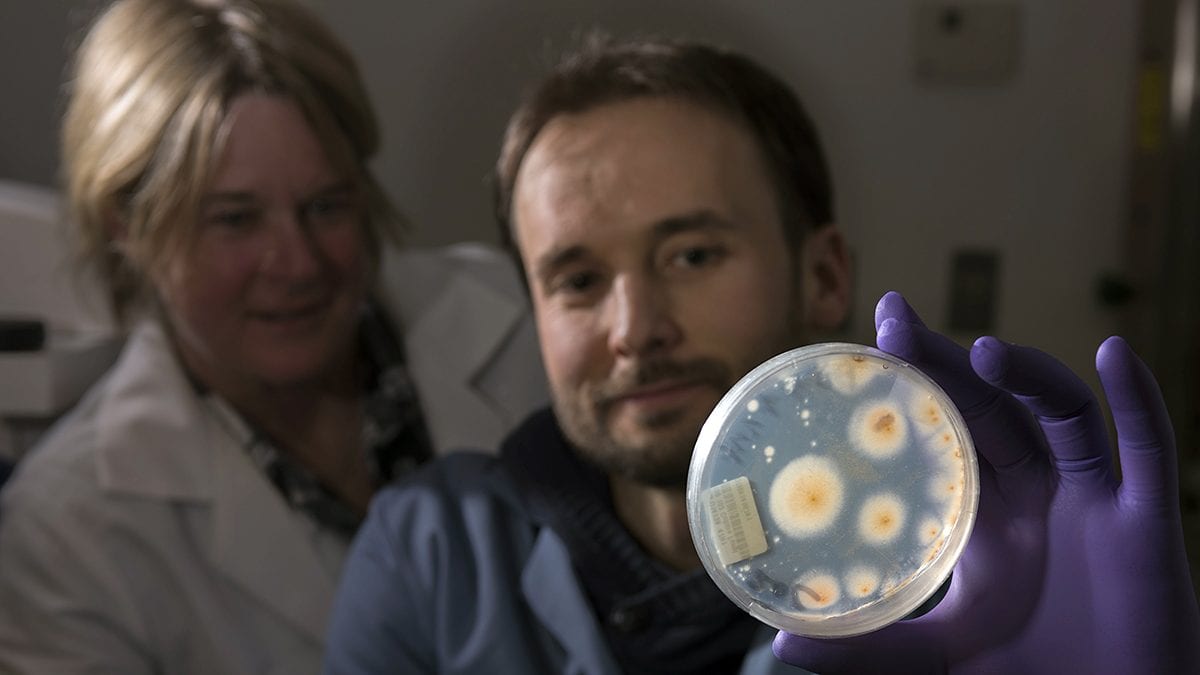 Fungus Beneath Us