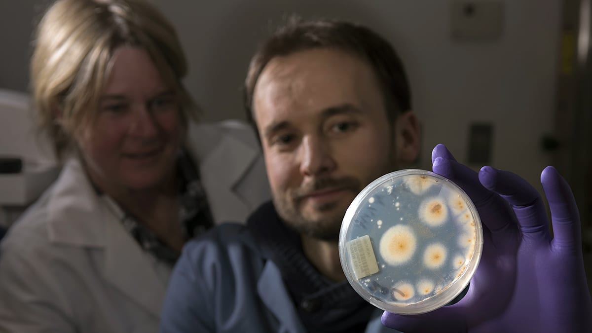 Fungus Beneath Us