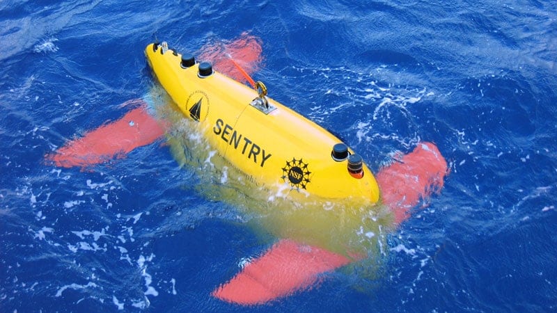 Sentry_water_800_425853.jpg