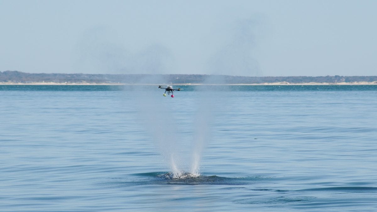 005-drone-blow-sampling-DSC_6687.jpg