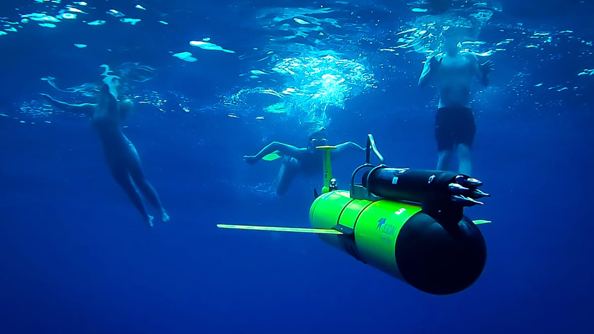 G0038691_420135_426993.jpg