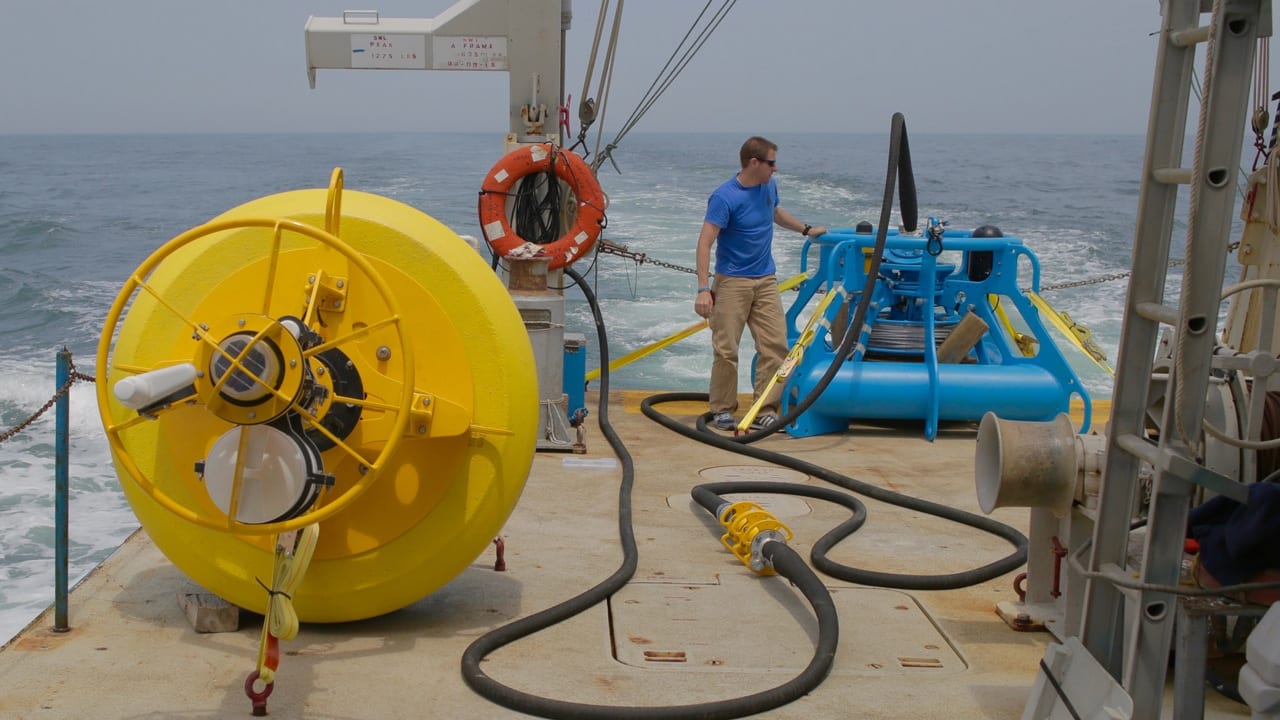 Scientists Now Listening for Whales in New York Waters With Real-time Acoustic Buoy