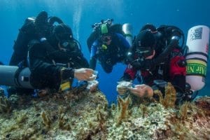 Artifacts Discovered on Return Expedition to Antikythera Shipwreck
