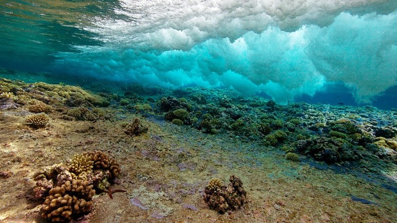Coral Coring
