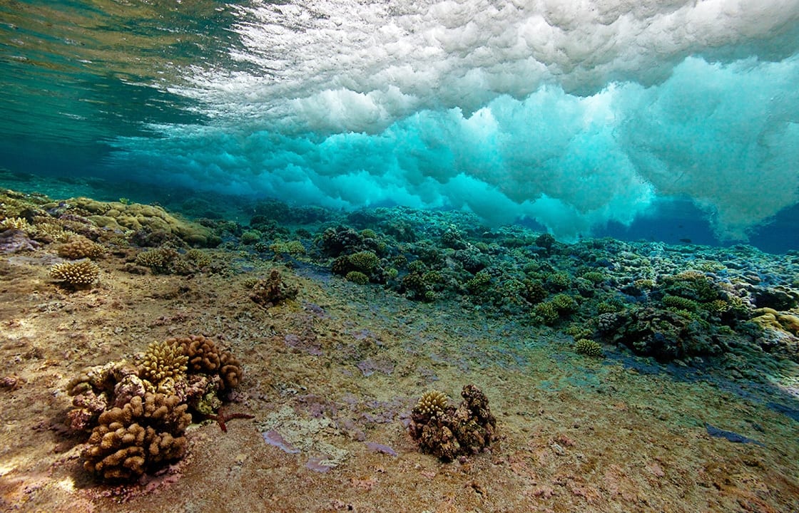 Coral Coring