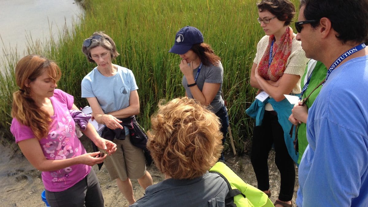 WHOI Announces 2016 Ocean Science Journalism Fellows