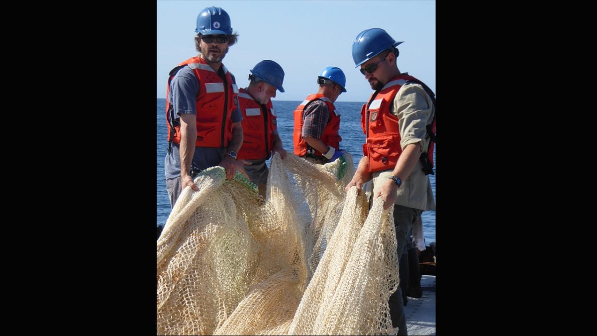 Net Maneuvers