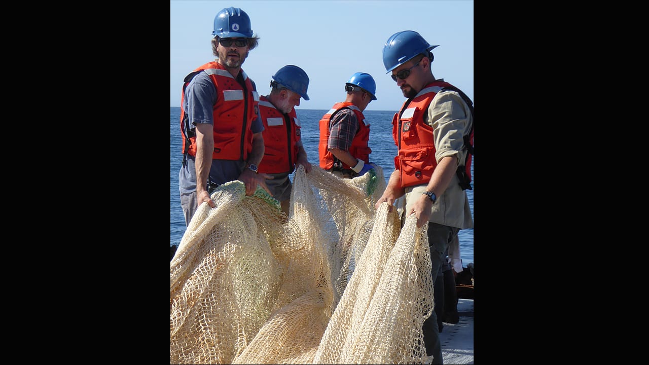 Net Maneuvers